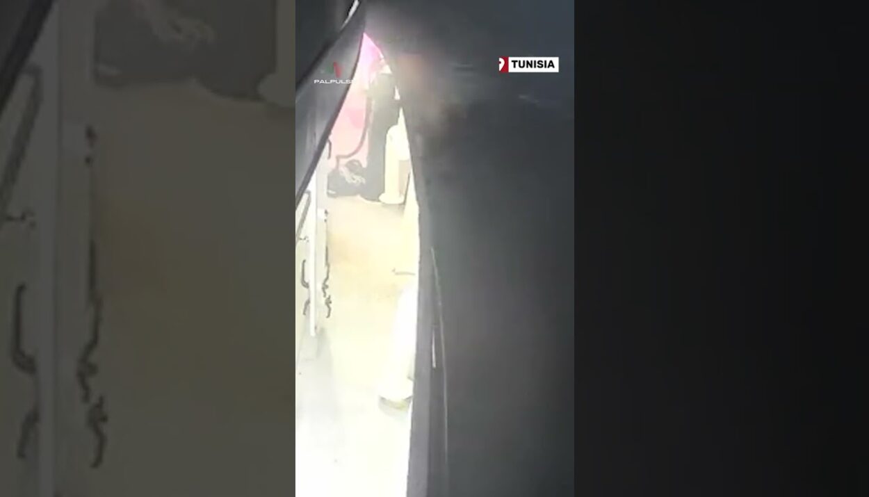 video global sumud flotilla tuni