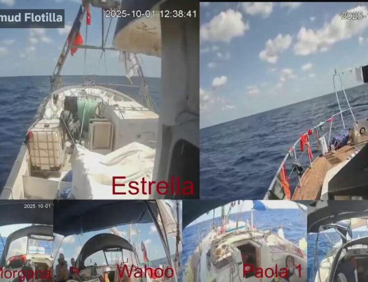 watch global sumud flotilla live