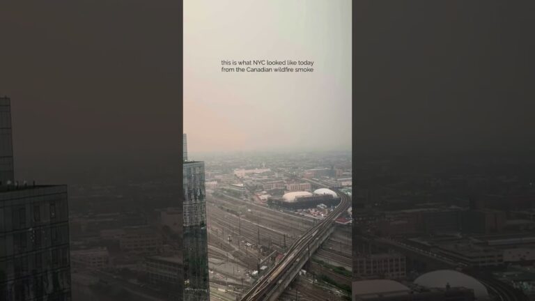 Home 5 NYC Faces Air Quality Crisis as Wildfire Smoke Engulfs the City