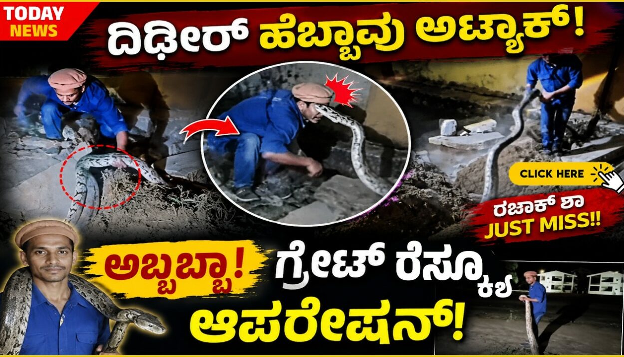 razak shah python video what is