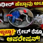 razak shah python video what is
