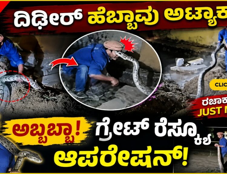 razak shah python video what is